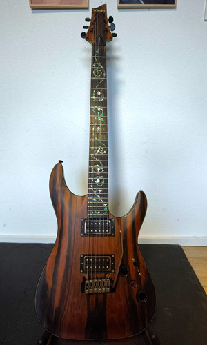 Schecter exotic e gitarre - schecter, c-1