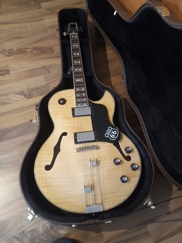 Hollowbody e gitarre - , e-gitarre