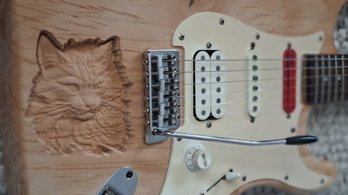 Gitarre guitar mit - e-gitarre,